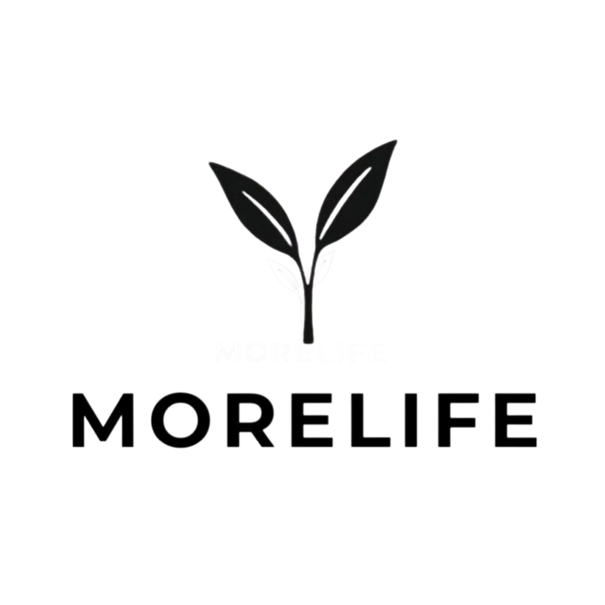 More Life